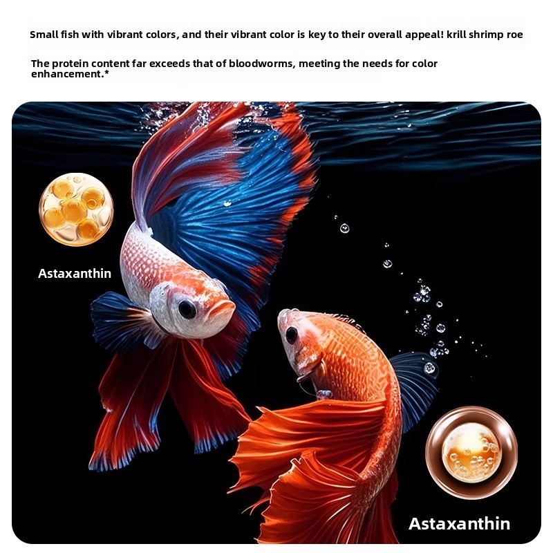 Yee Krill & Baby Shrimp Dry Fo - Dry Food Baby review and price