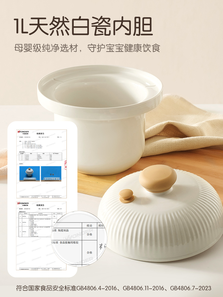 Jiuyang micro-pressure BB pot  - Baby Food Stew review and price