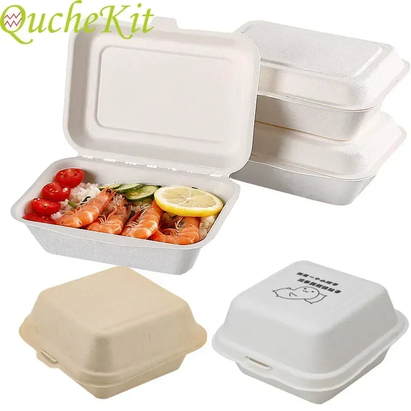 Disposable Eco-Friendly Lunch  - Baby Food Prep Containers review and price